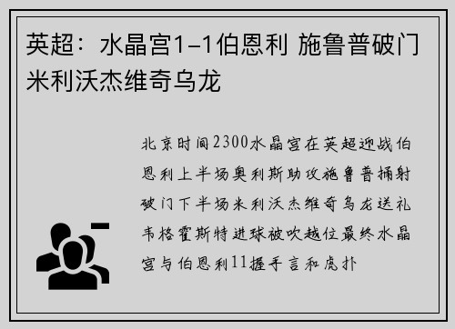 英超：水晶宫1-1伯恩利 施鲁普破门米利沃杰维奇乌龙