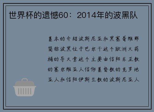 世界杯的遗憾60：2014年的波黑队